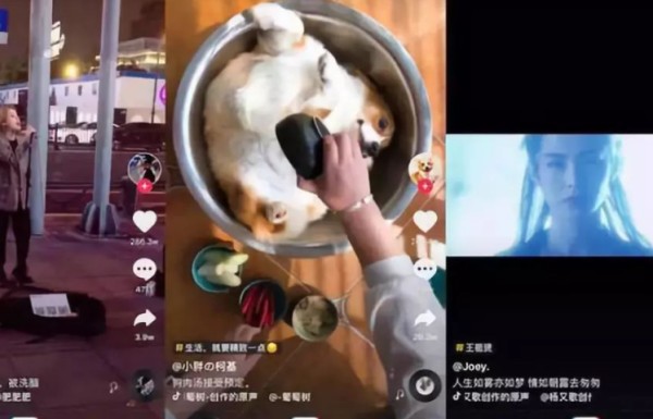 注销抖音大概有多少天好？